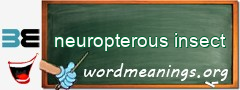 WordMeaning blackboard for neuropterous insect